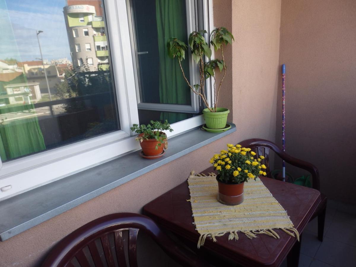 Apartment Erika 2 诺威萨 外观 照片
