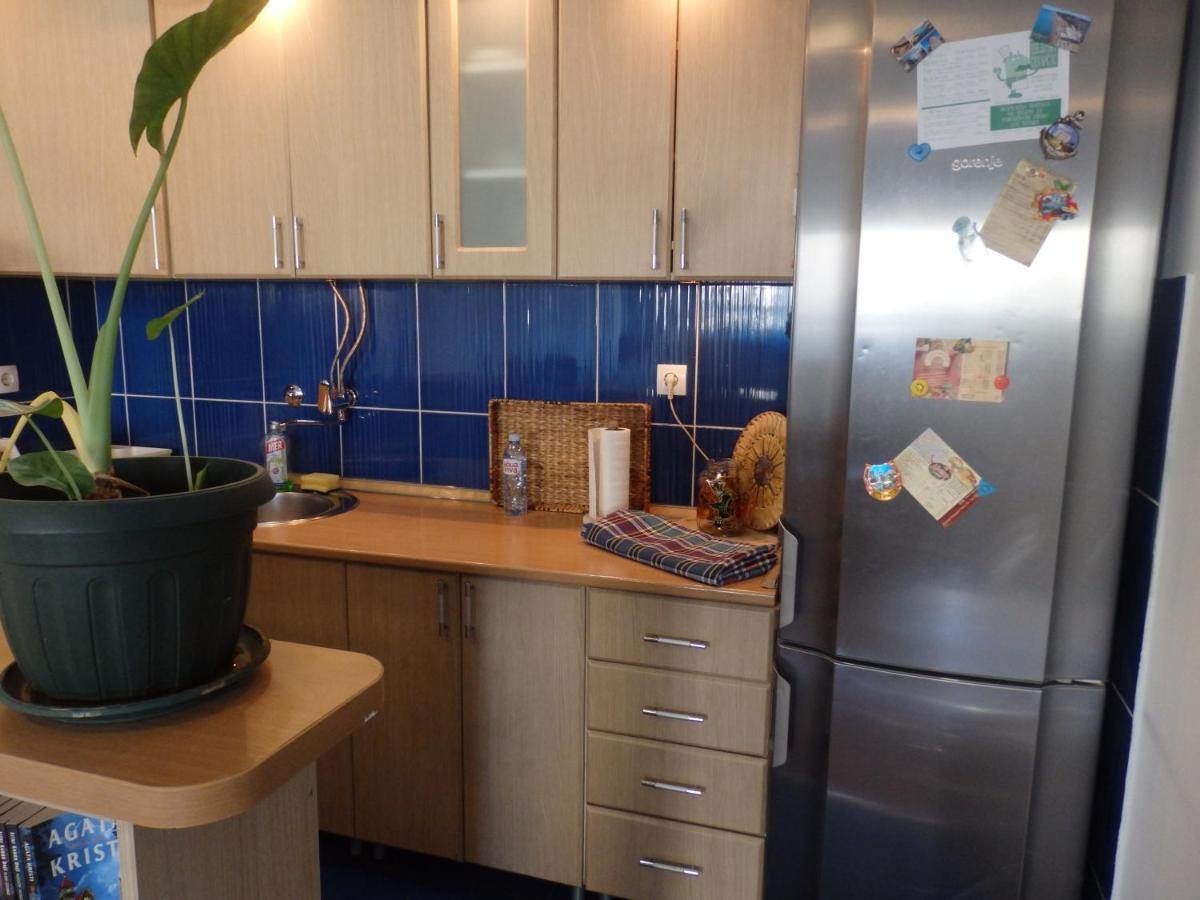 Apartment Erika 2 诺威萨 外观 照片