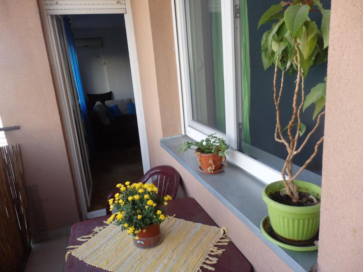 Apartment Erika 2 诺威萨 外观 照片